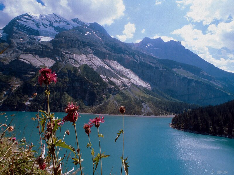 Mountain Lake with Flowers — Blue