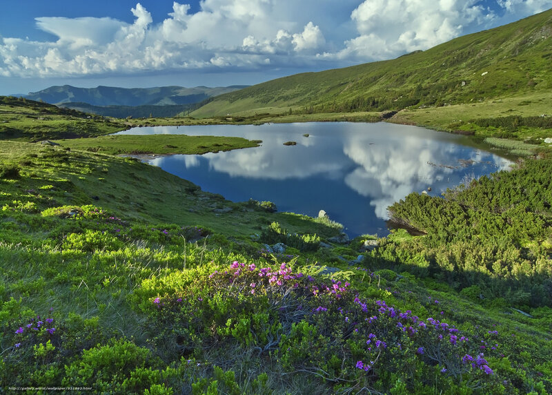 Mountain Lake with Flowers — Green, Serene, Afternoon, Photograph, Clouds