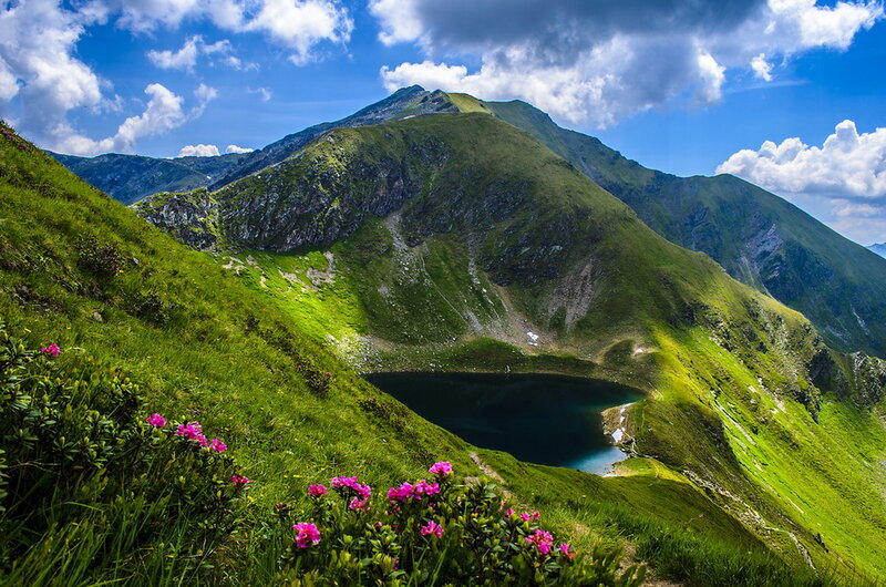 Mountain Lake with Flowers — Green, Serene, Afternoon, Photograph