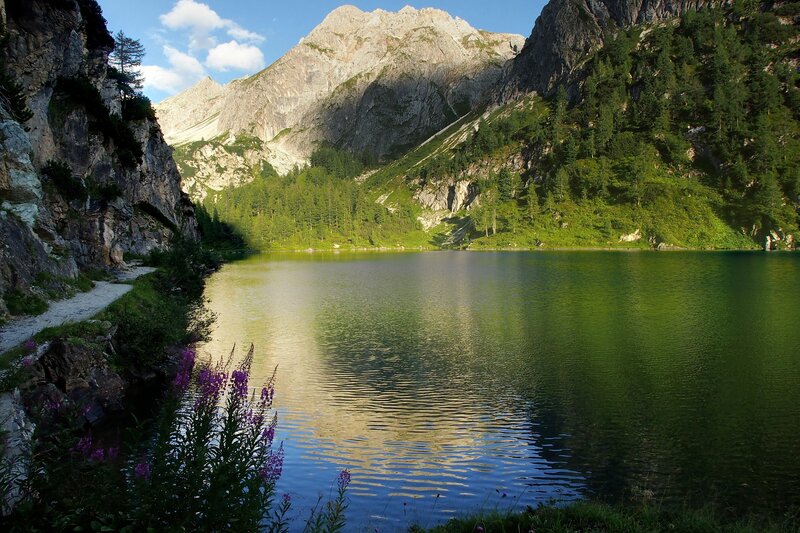 Mountain Lake with Flowers — Green, Serene, Afternoon, Photograph, Trees