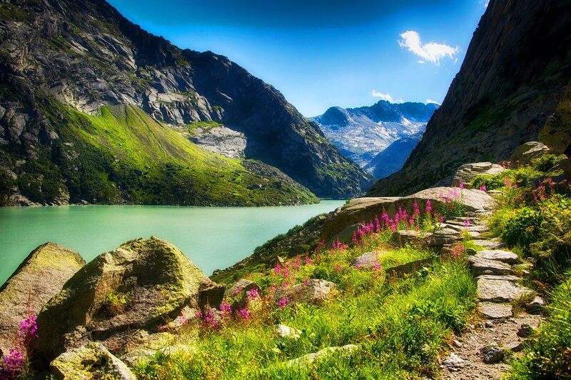 Mountain Lake with Flowers — Green, Serene, Afternoon