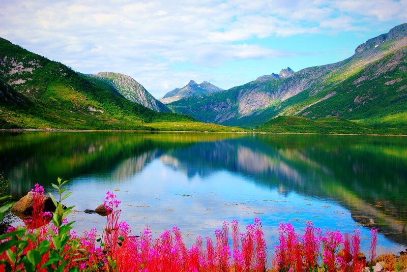 Mountain Lake with Flowers — Green, Serene, Summer, Photograph, Mountains