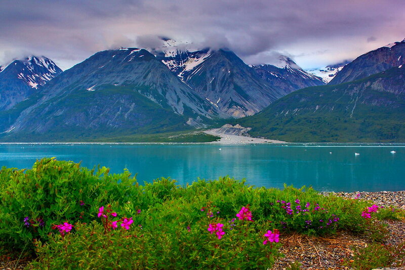 Mountain Lake with Flowers — Green, Serene, Summer
