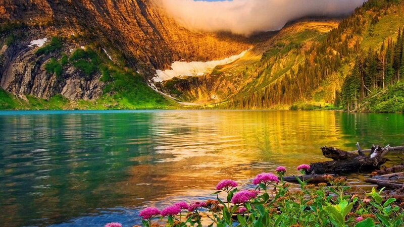 Mountain Lake with Flowers — Green, Serene, Sunset