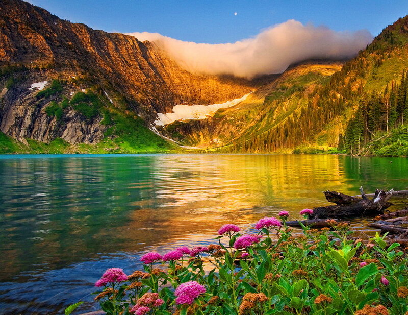 Mountain Lake with Flowers — Green, Serene