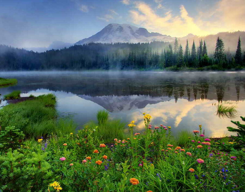Mountain Lake with Flowers — Green