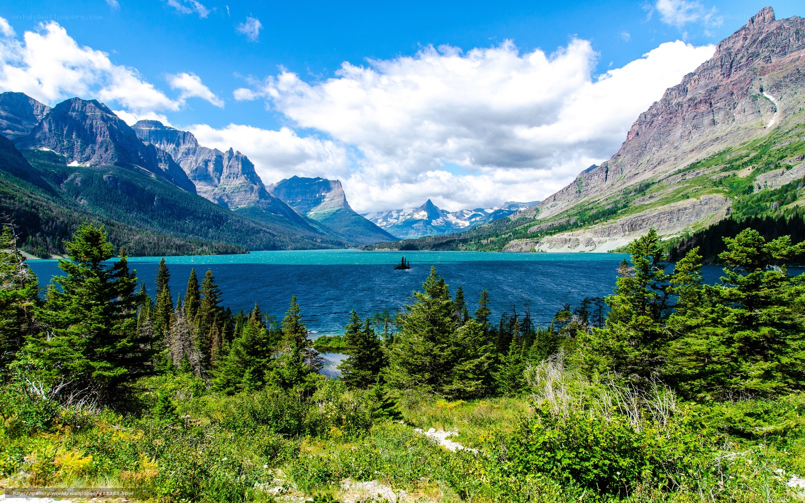 Mountain lake with forest