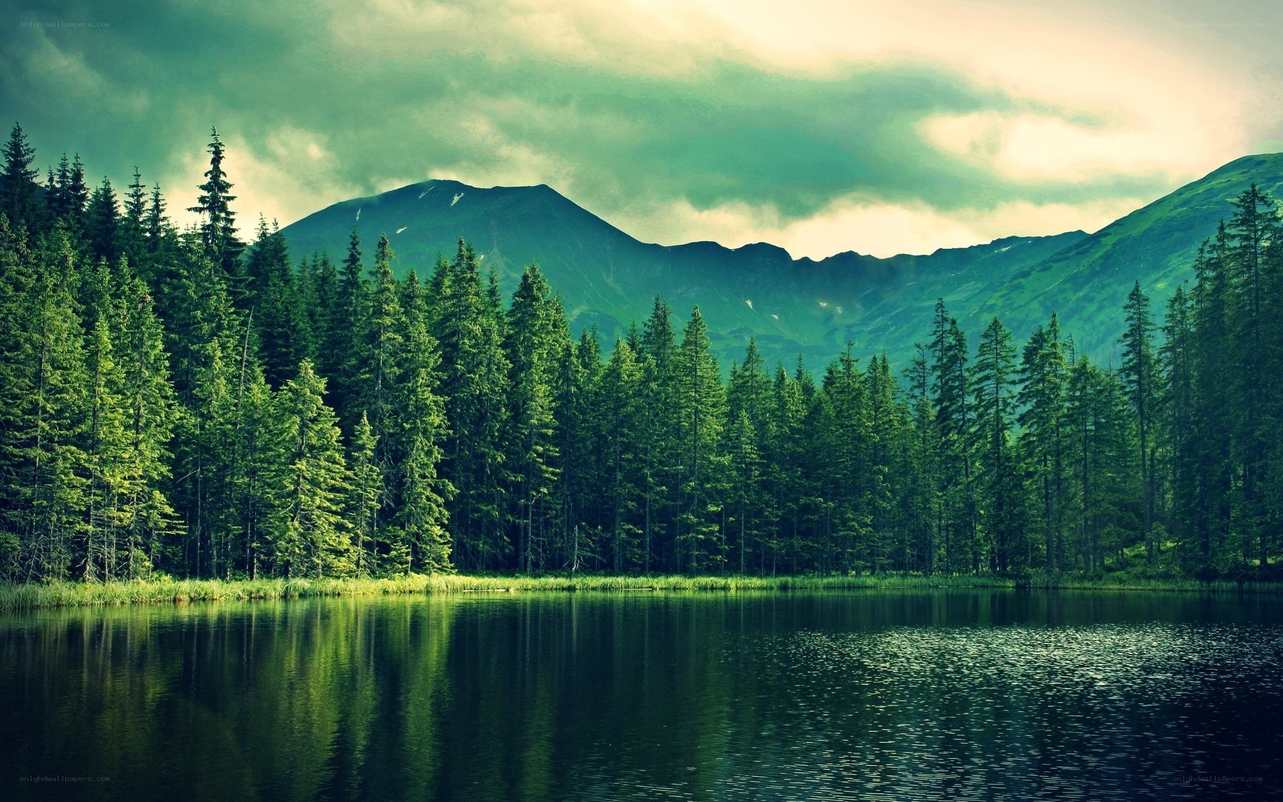 Mountain lake with forest