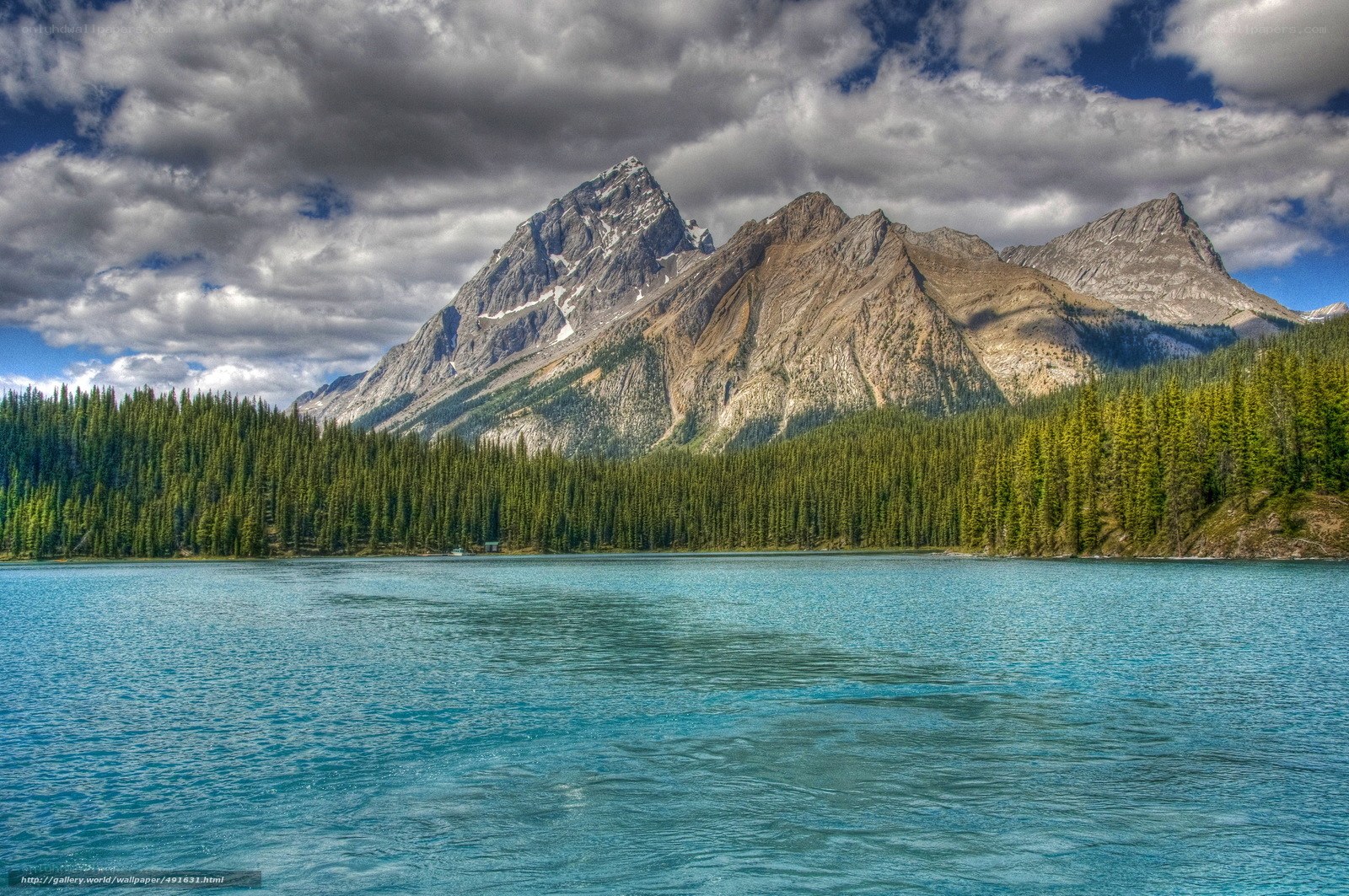 Mountain lake with forest