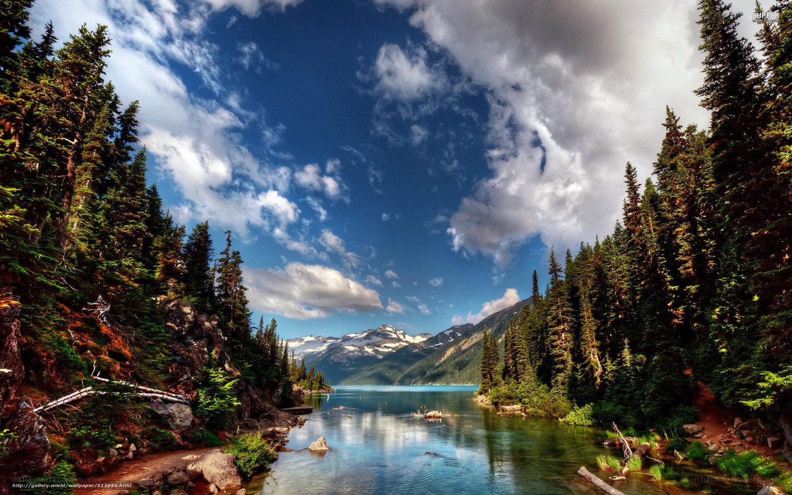Mountain lake with forest