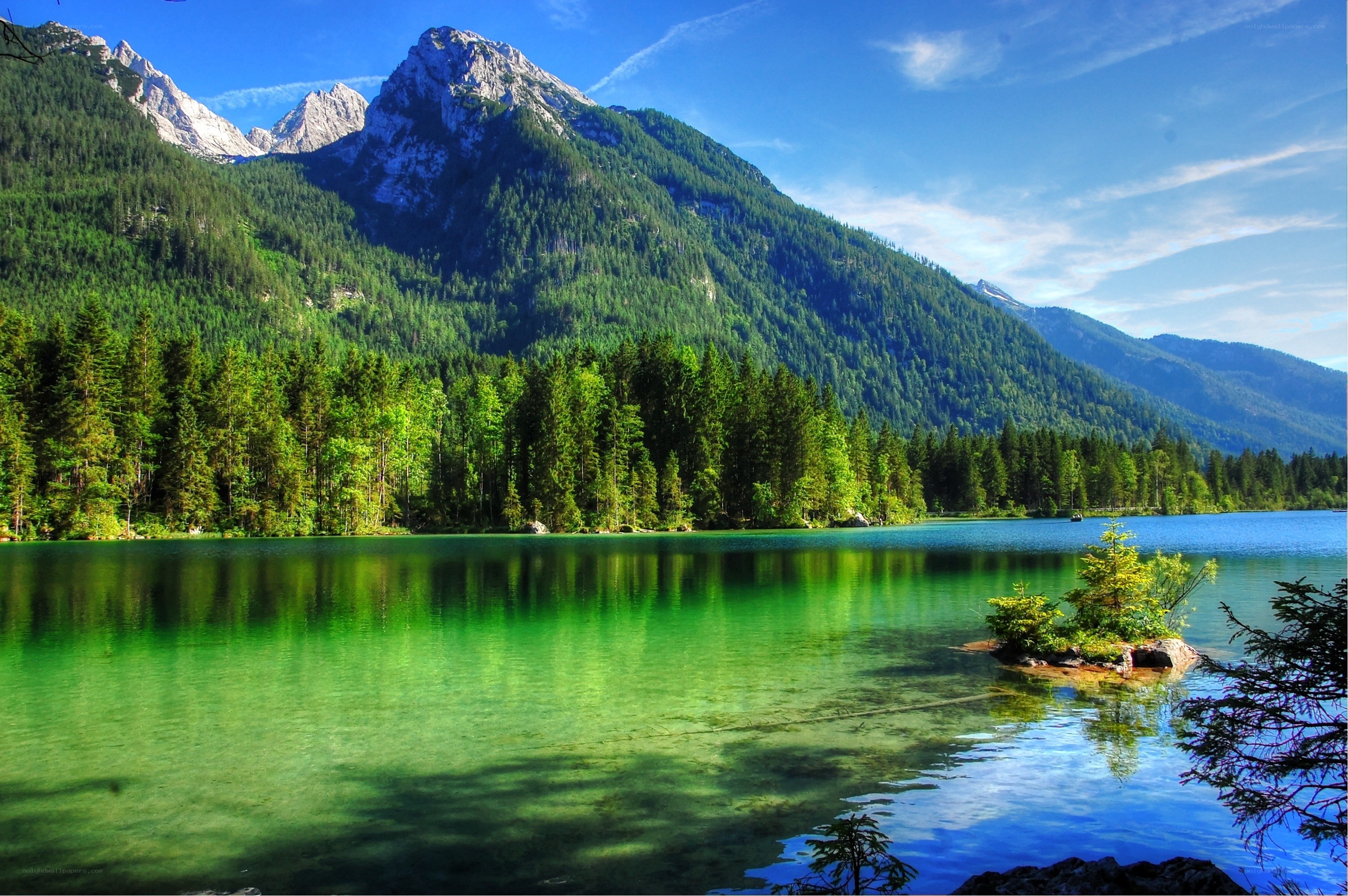 Mountain lake with forest
