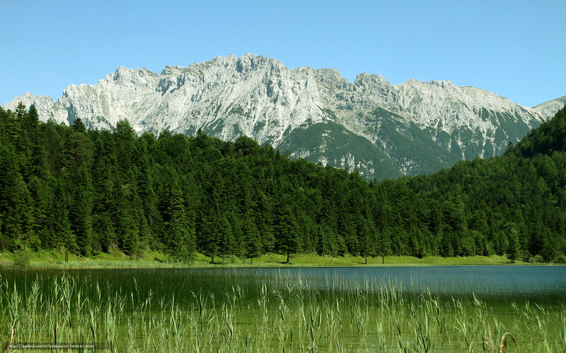 Mountain lake with forest
