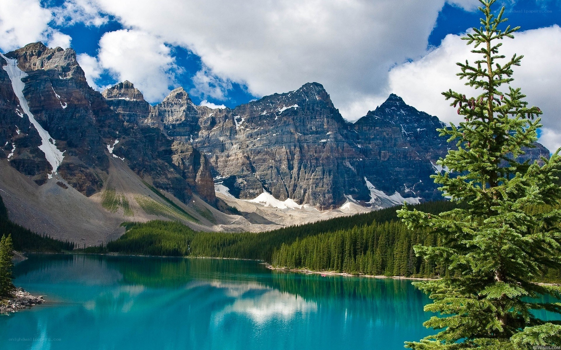 Mountain lake with forest