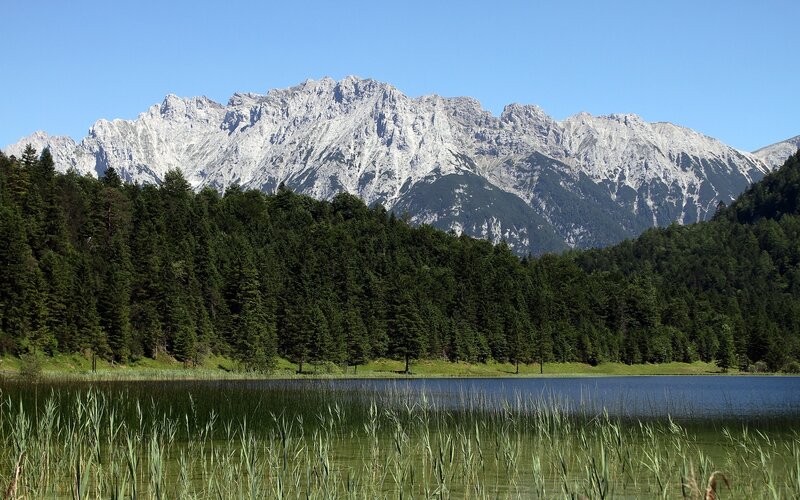 Mountain lake with forest