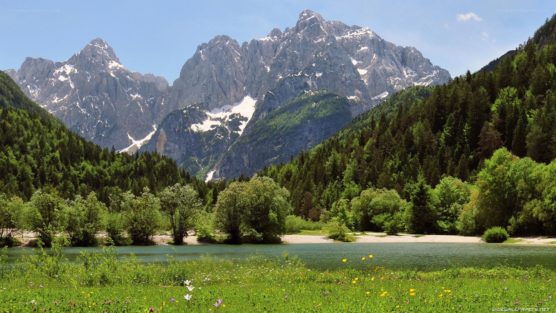 Mountain lake with forest