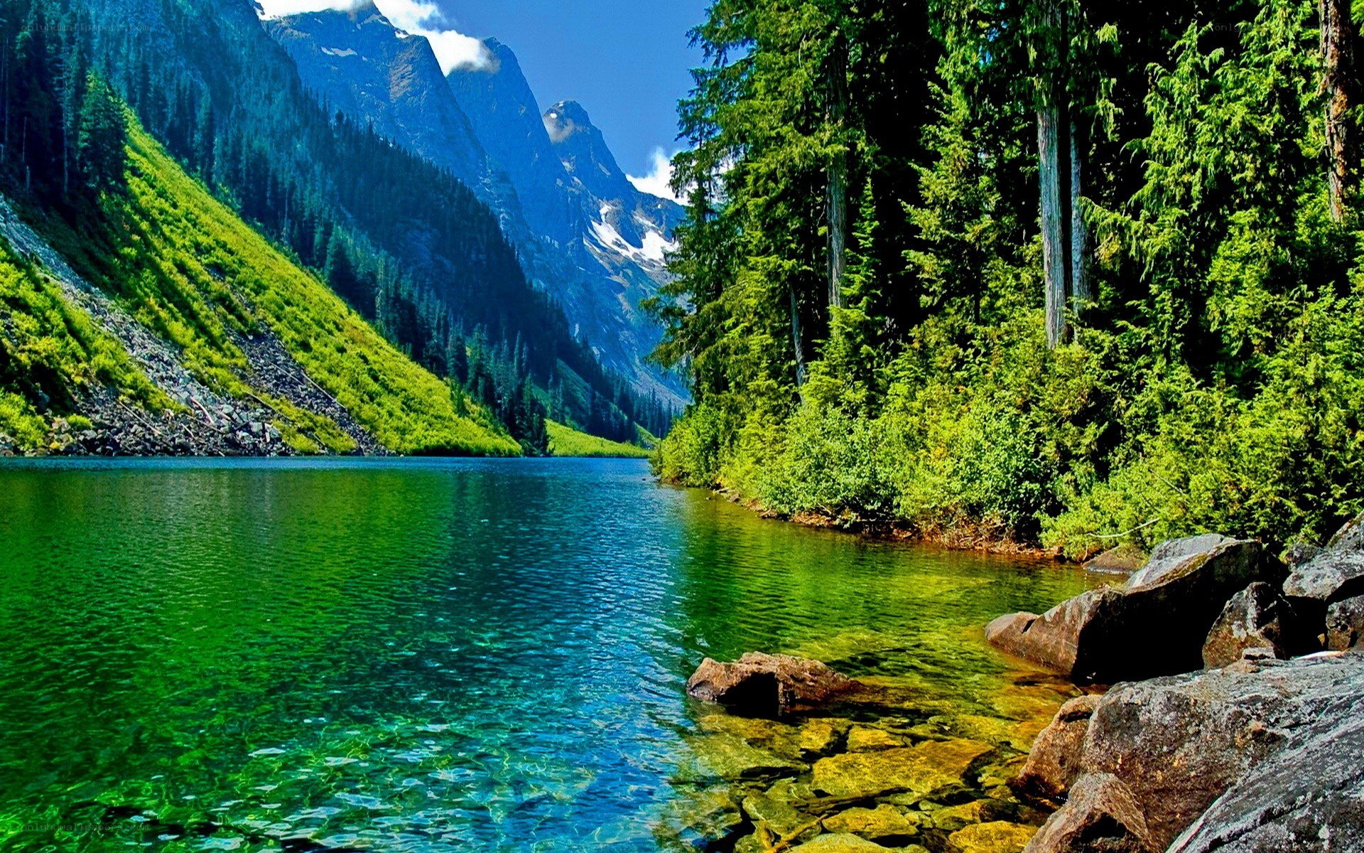 Mountain lake with forest