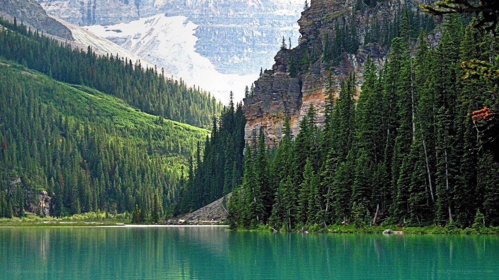 mountain lake with forest