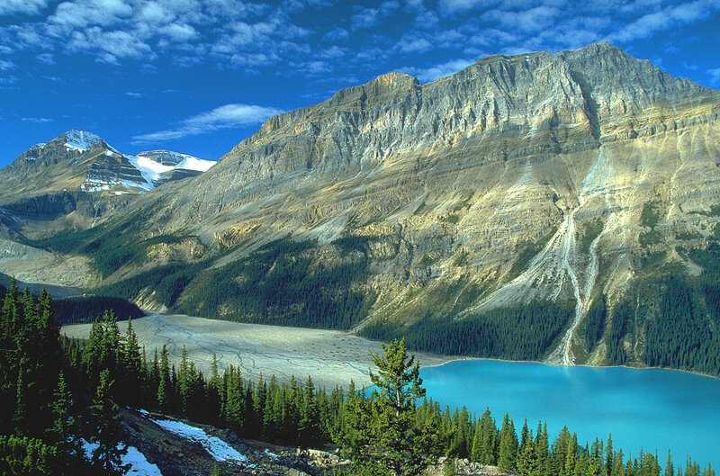 Mountain lake with forest