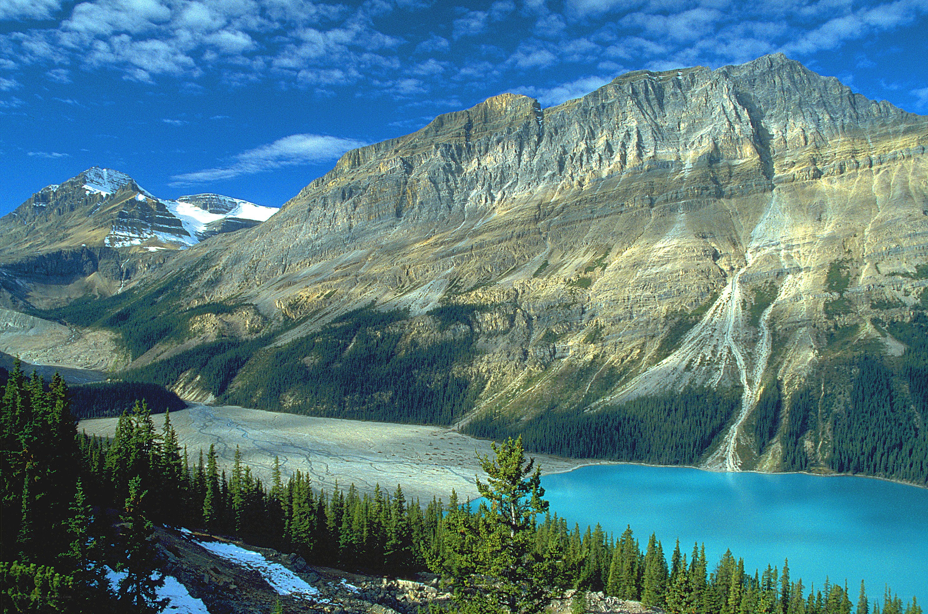 Mountain lake with forest