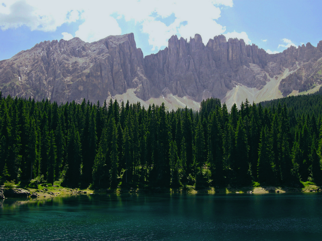 Mountain lake with forest
