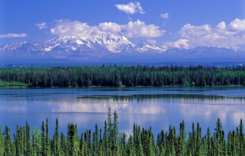 Mountain lake with forest