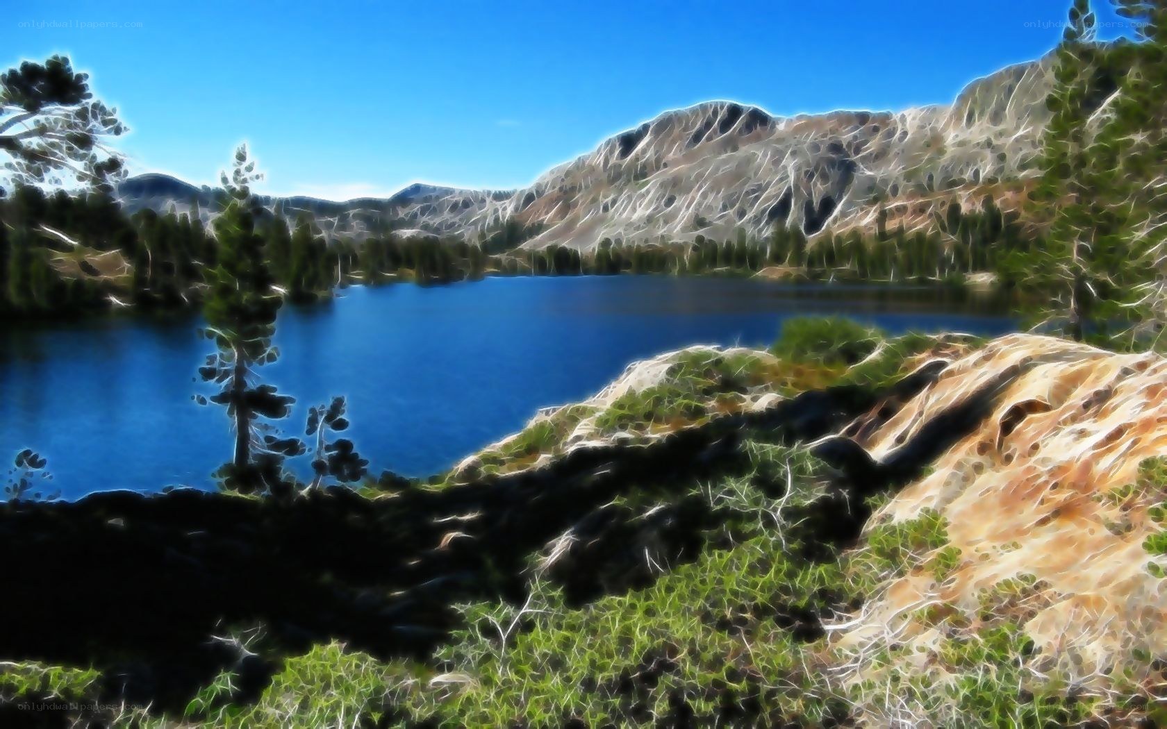 Mountain lake with forest