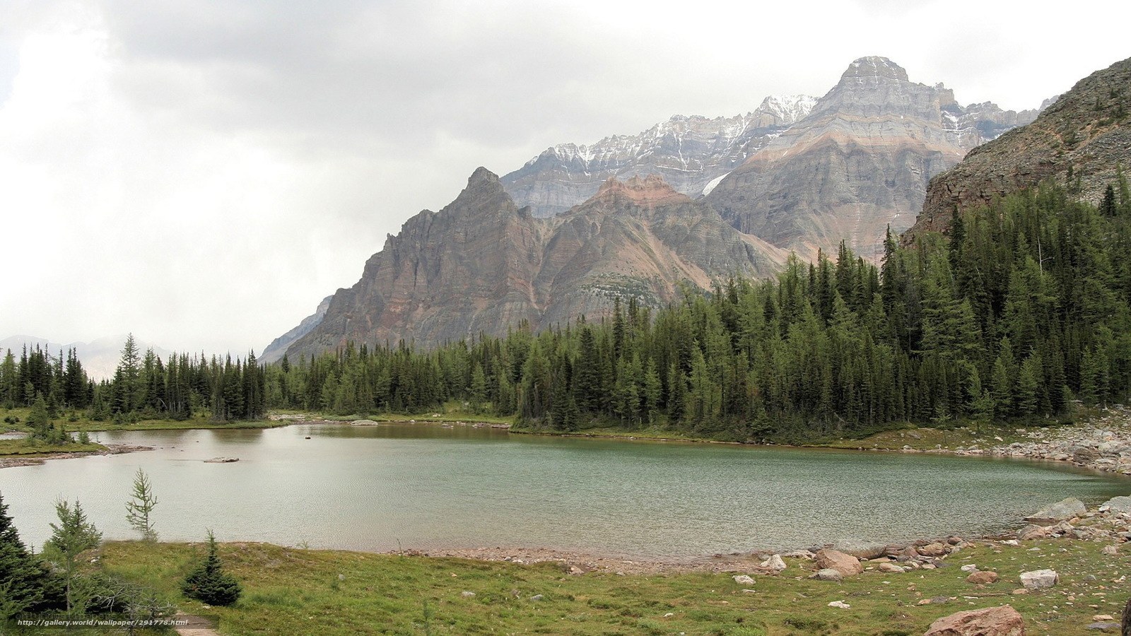 mountain lake with forest