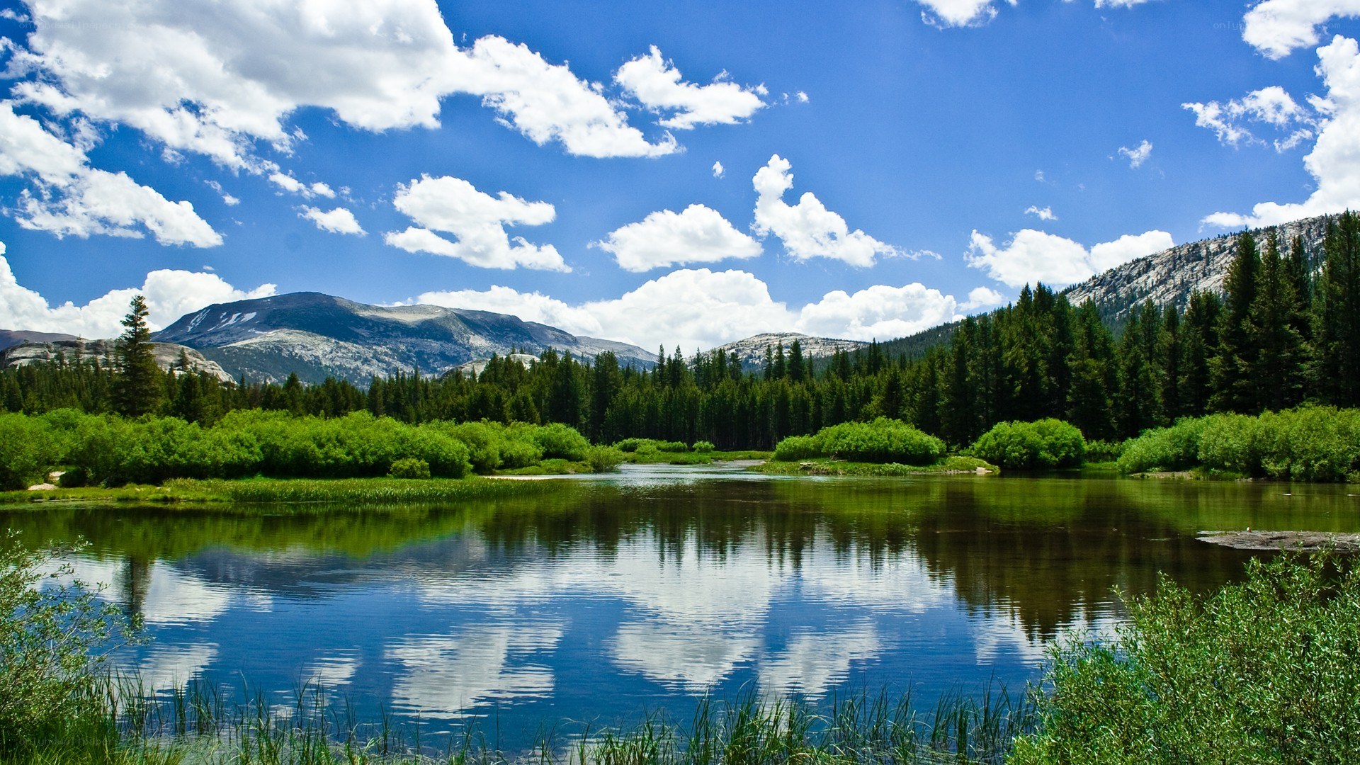 Mountain lake with forest and clouds