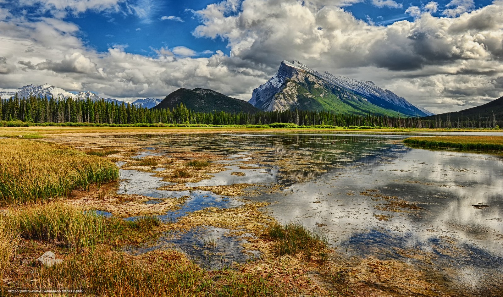 Mountain lake with forest and clouds