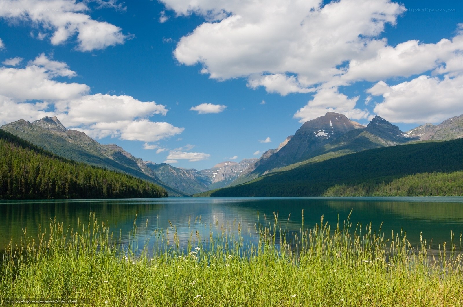 Mountain lake with forest and clouds