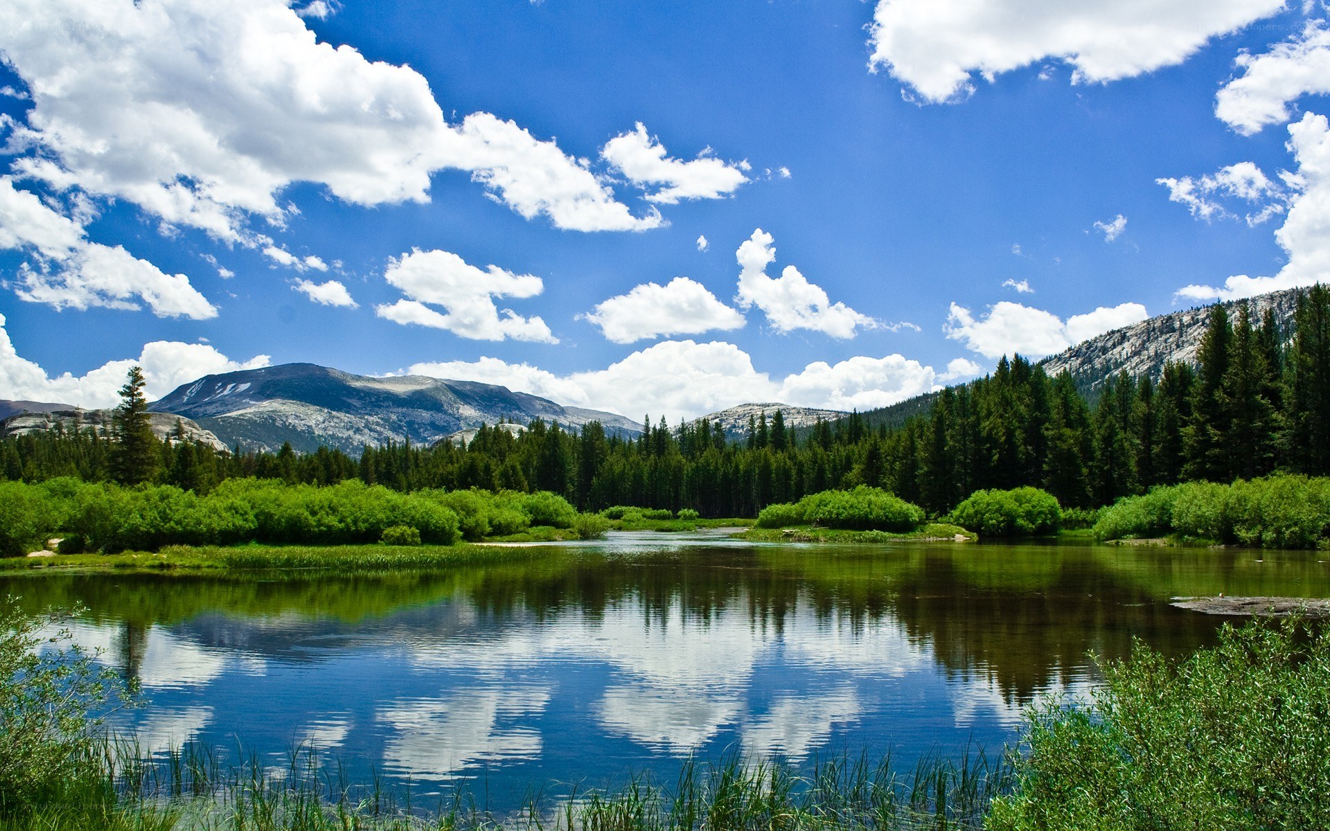 Mountain lake with forest and clouds