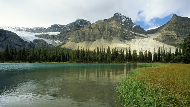 Mountain lake with forest and glacier