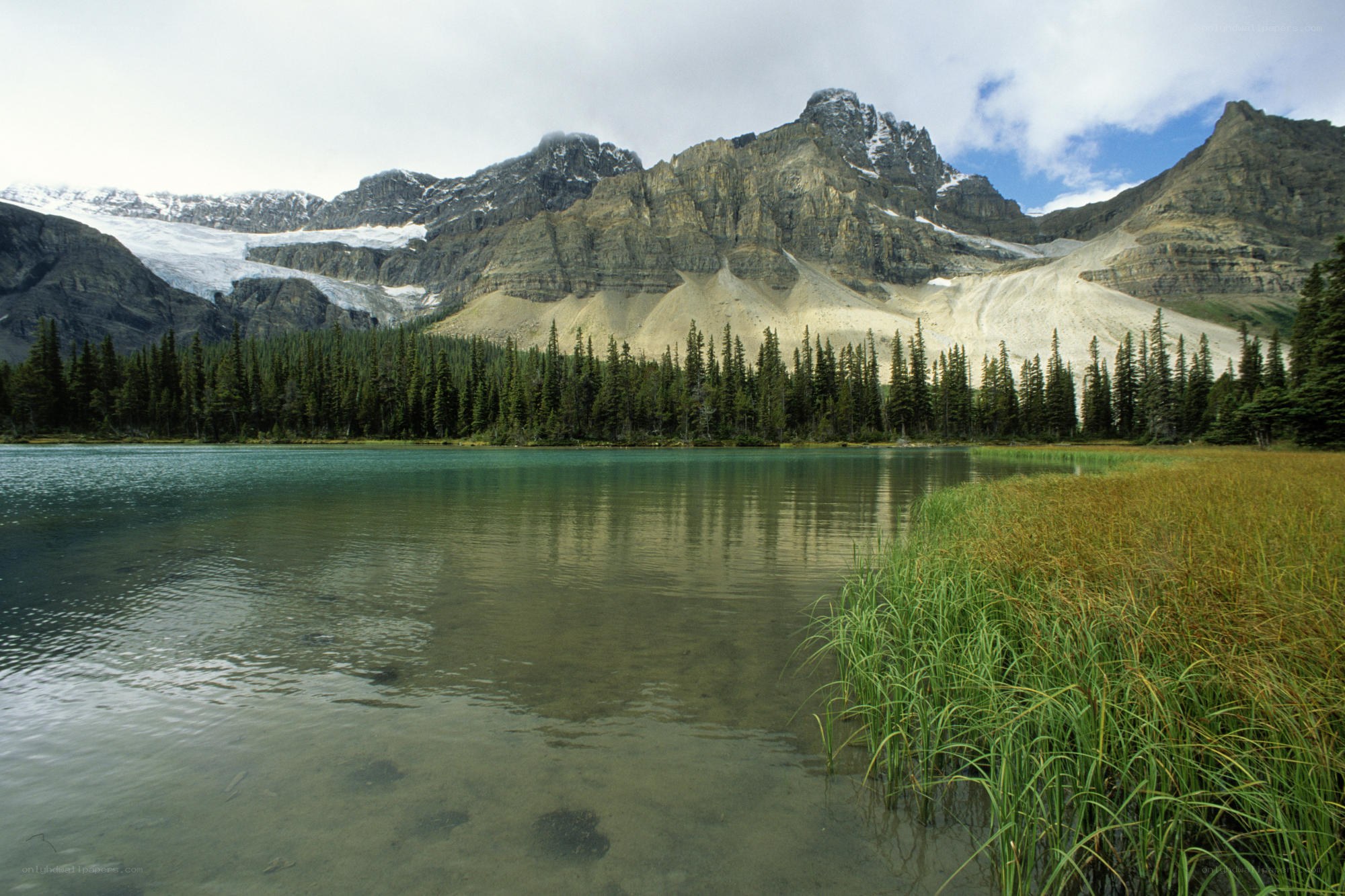 Mountain lake with forest and glacier