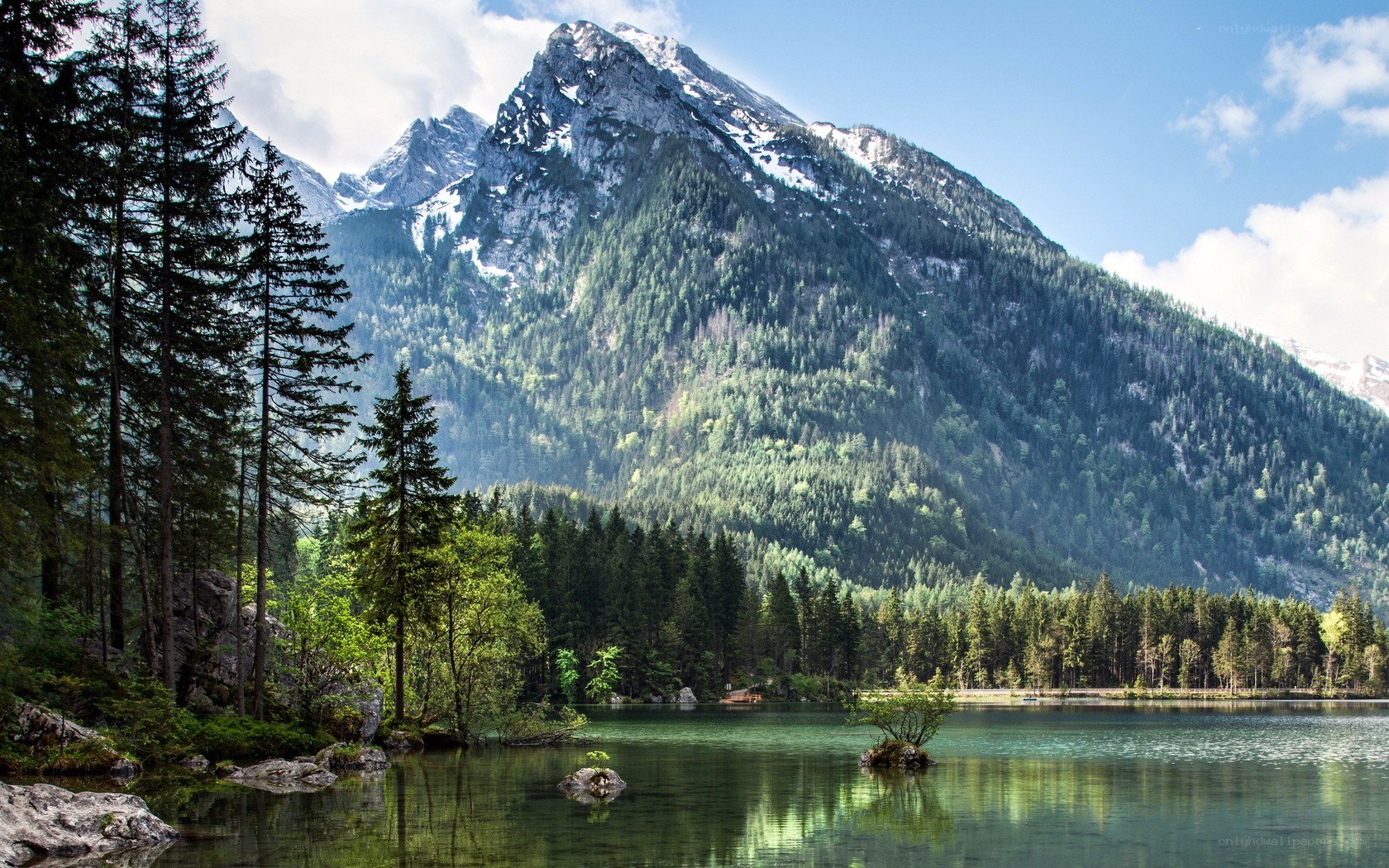 Mountain lake with forest and peak