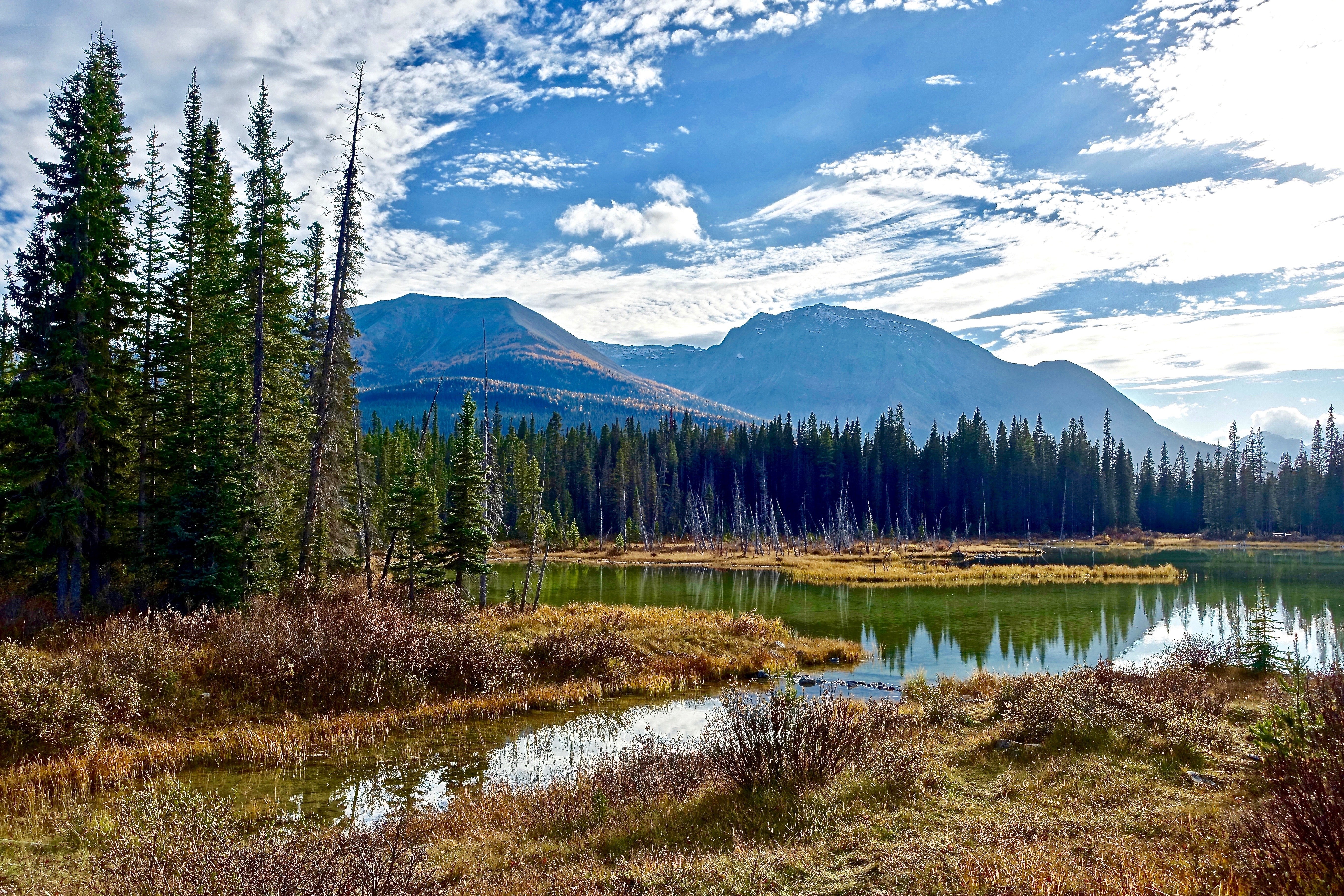 Mountain lake with forest and peaks