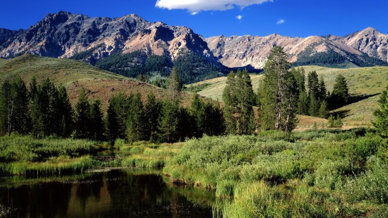 Mountain lake with forest and peaks