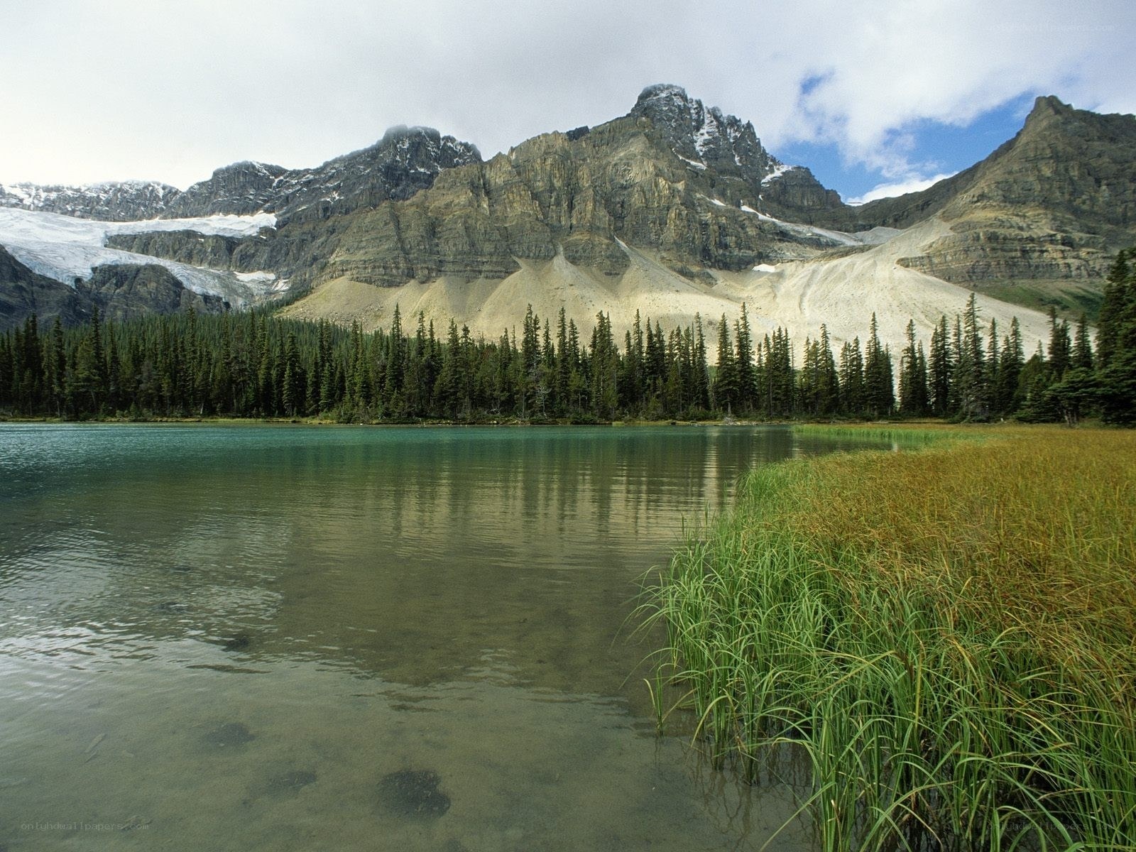 Mountain lake with forest and peaks