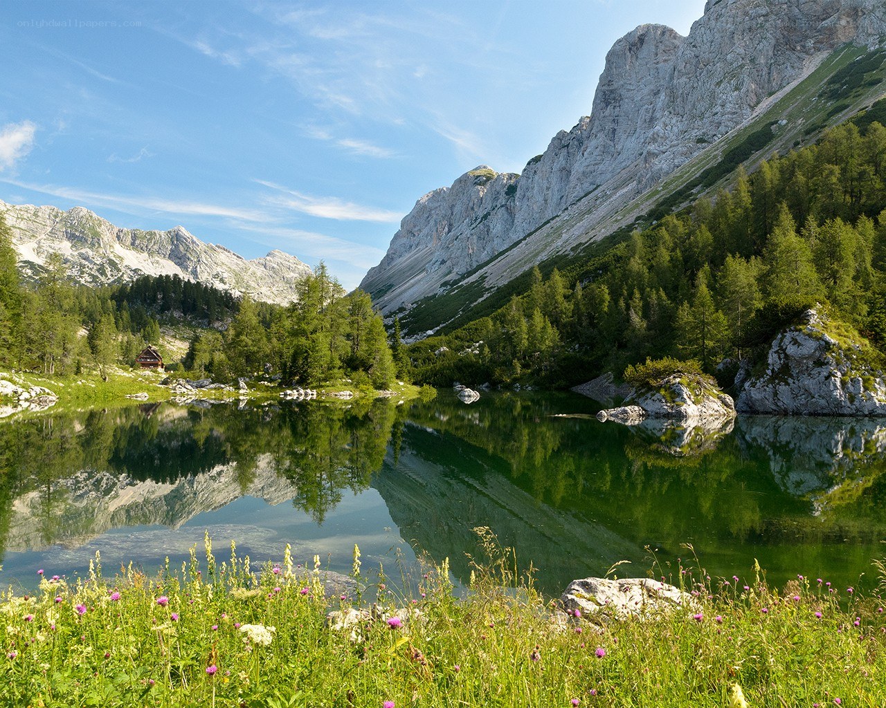 Mountain lake with forest and peaks