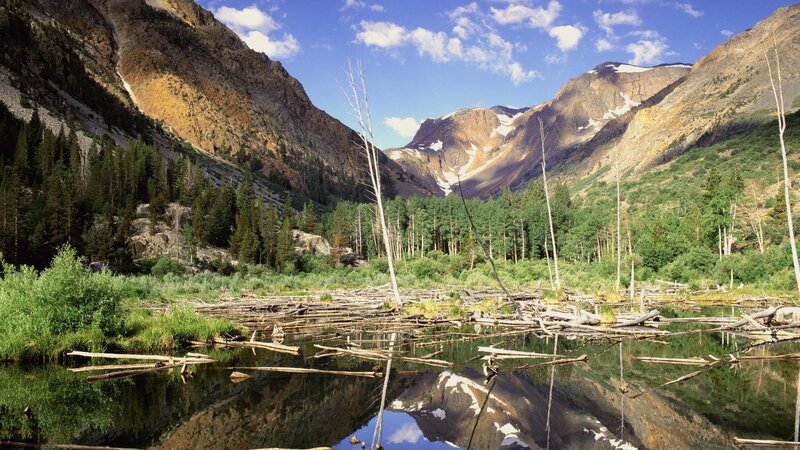 Mountain lake with forest and reflection