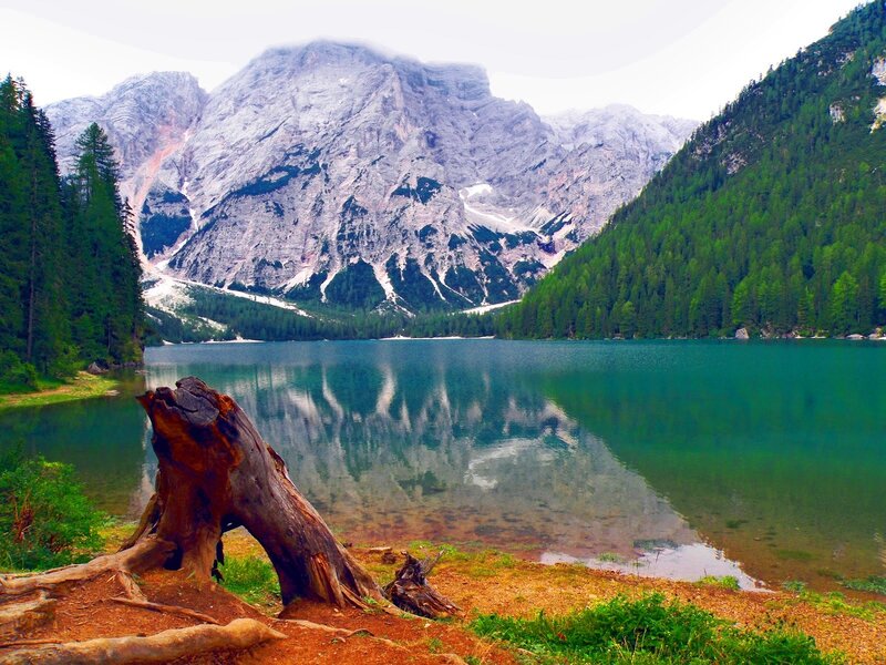 Mountain lake with forest and reflection