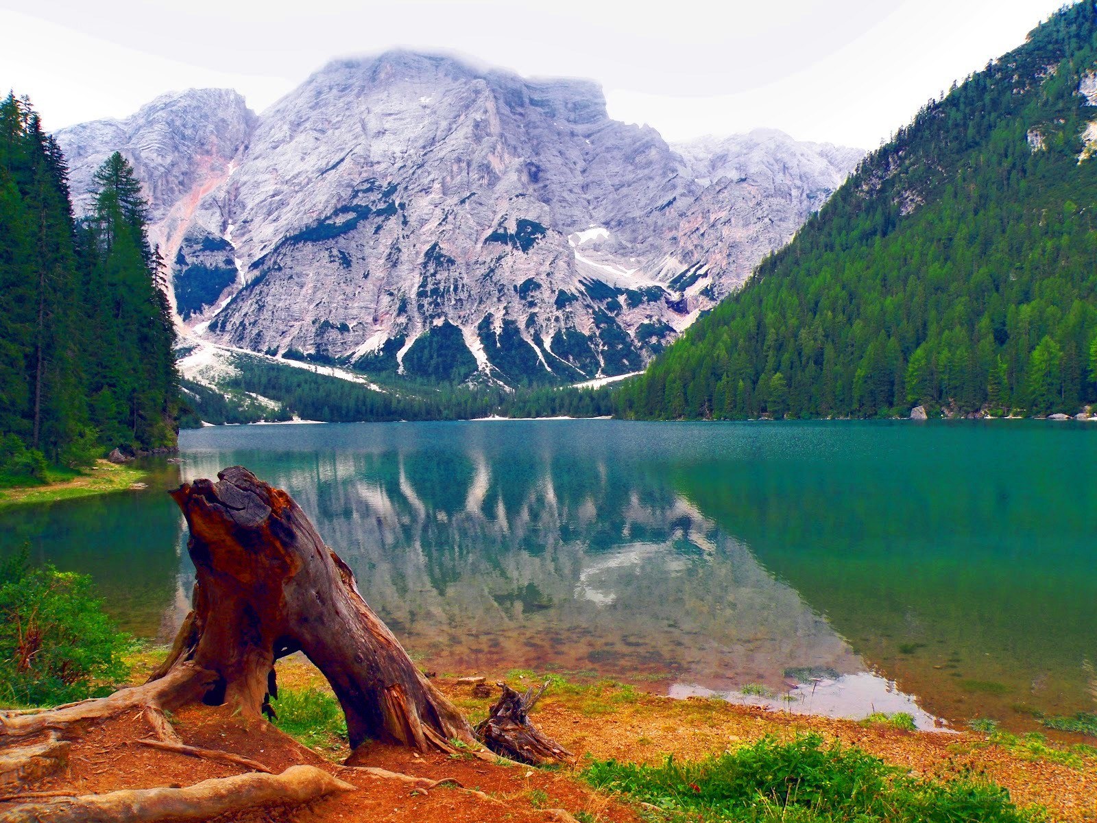 Mountain lake with forest and reflection