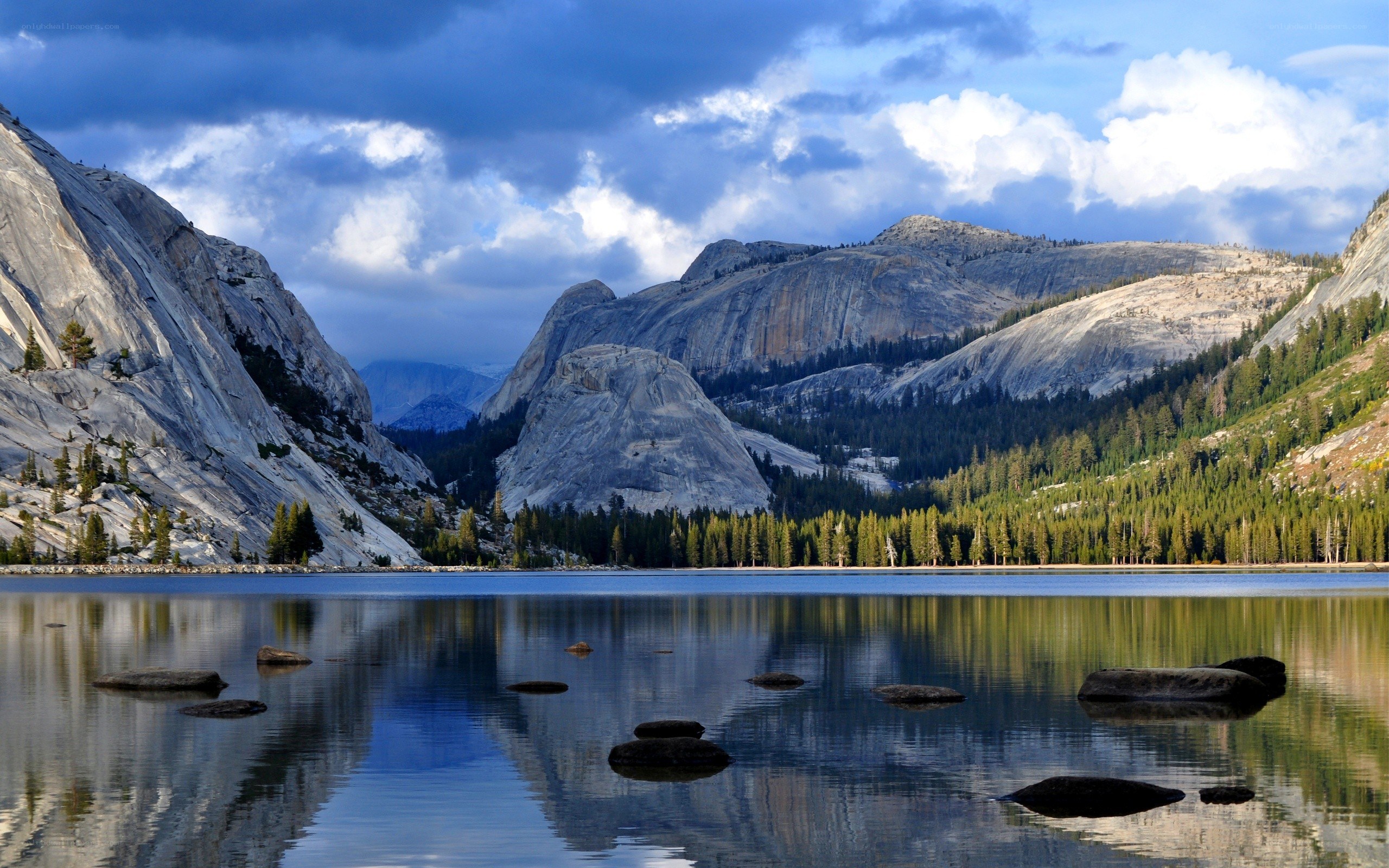 Mountain lake with forest and rocks
