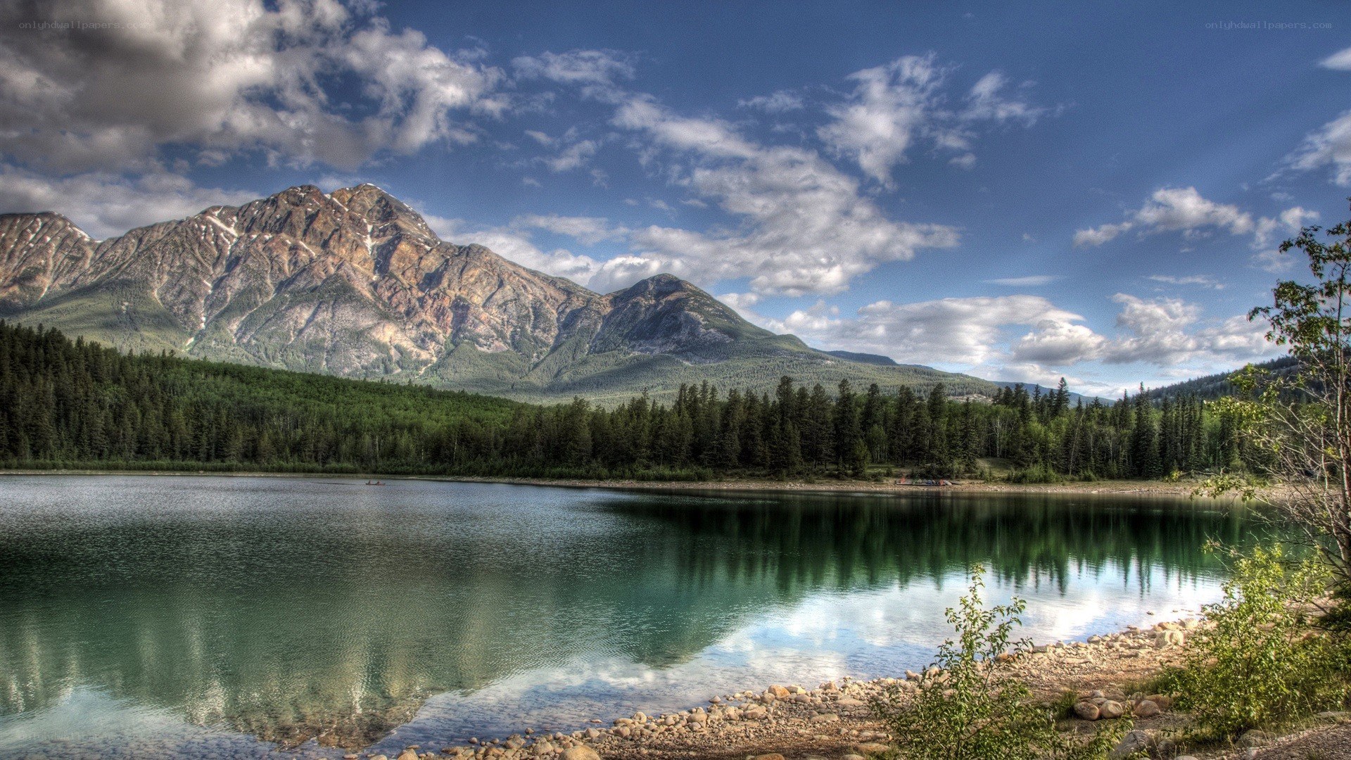 Mountain lake with forest and sky