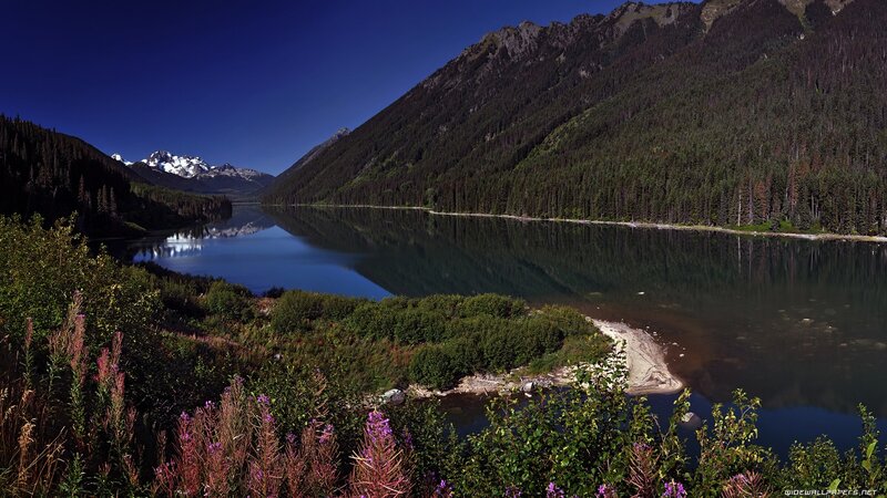 Mountain lake with forest and snow-capped peaks