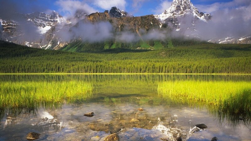 Mountain lake with forest and snow-capped peaks