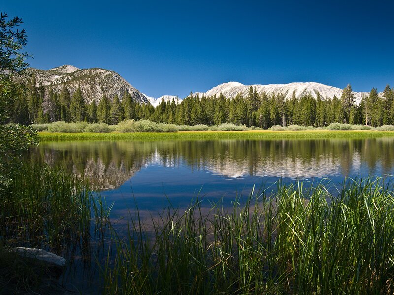 Mountain lake with forest and snow-capped peaks