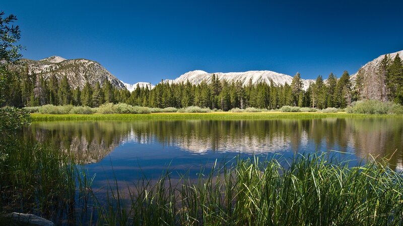 Mountain lake with forest and snow-capped peaks