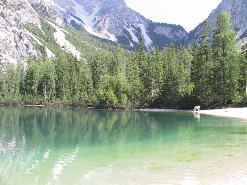 Mountain lake with forest and snow-capped peaks