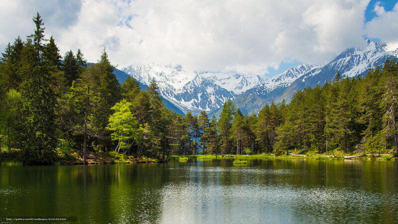 Mountain lake with forest and snow-capped peaks