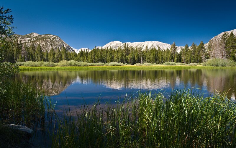Mountain lake with forest and snow-capped peaks